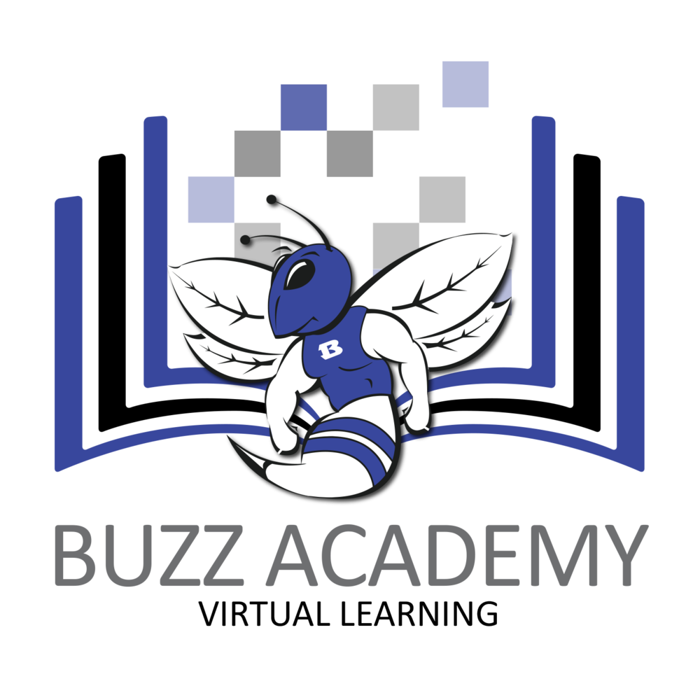 Buzz Academy