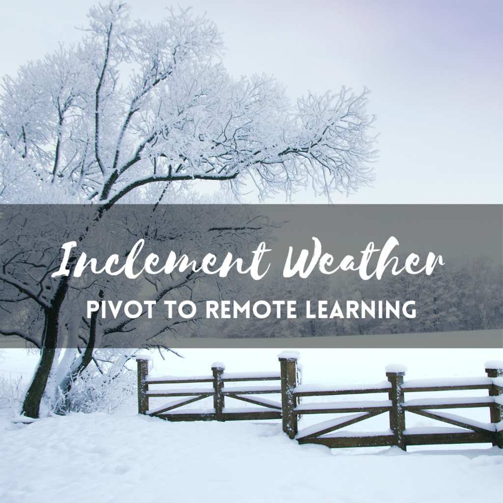 Pivot to Virtual Learning