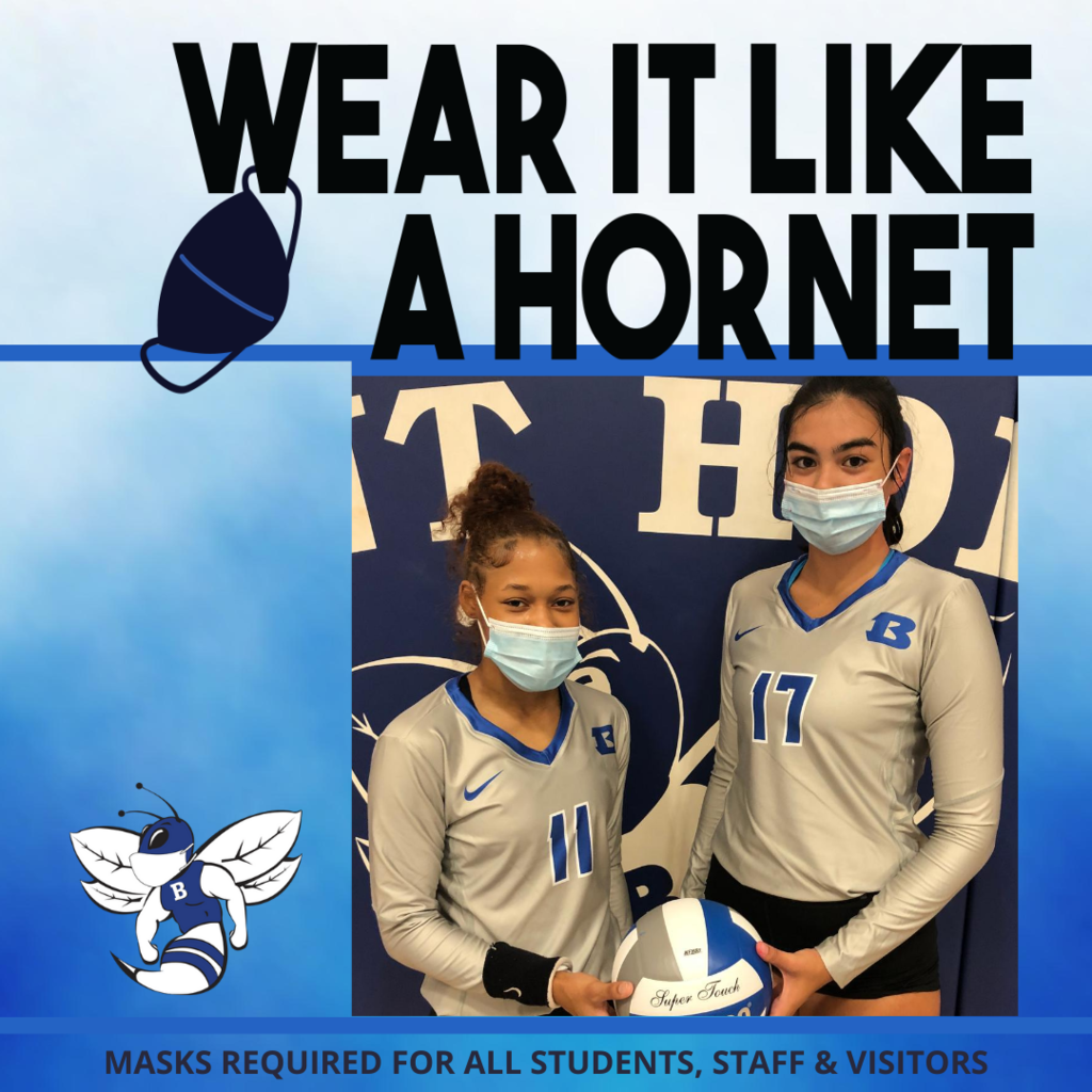 Wear It Like a Hornet