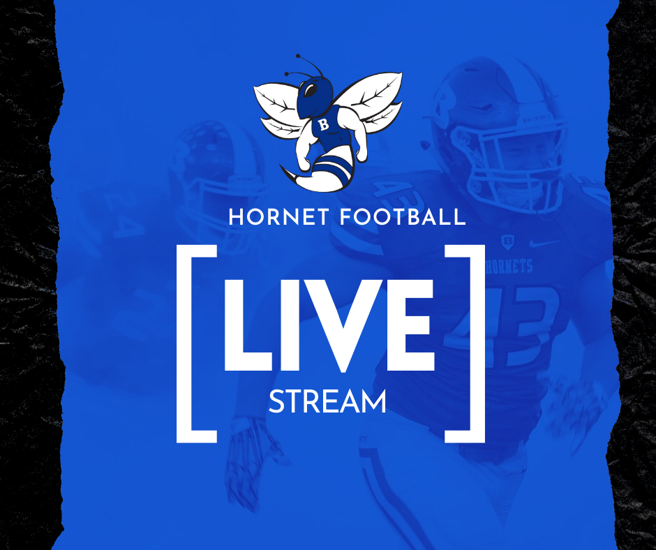 Hornet Live Stream