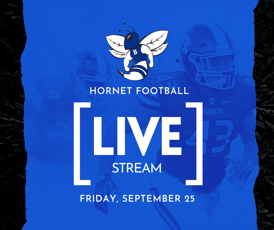 Live Stream